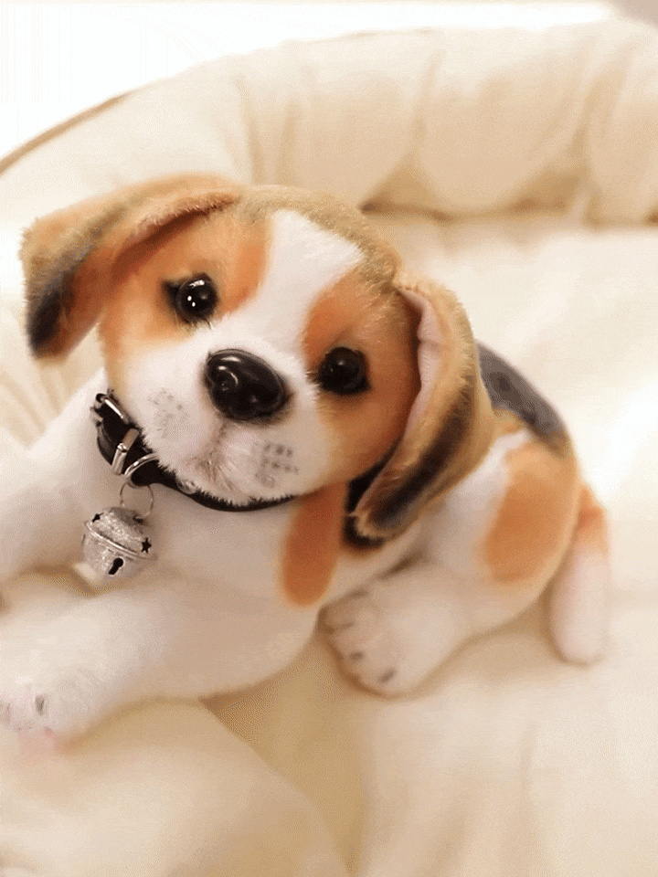 Realistyczny pluszowy piesek, beagle w koszyku