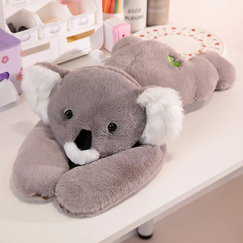 Pluszak z długimi ramionami, koala